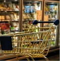 Image for Consumer